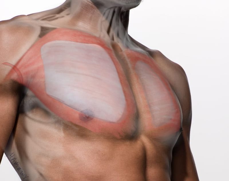Male chest enhancement